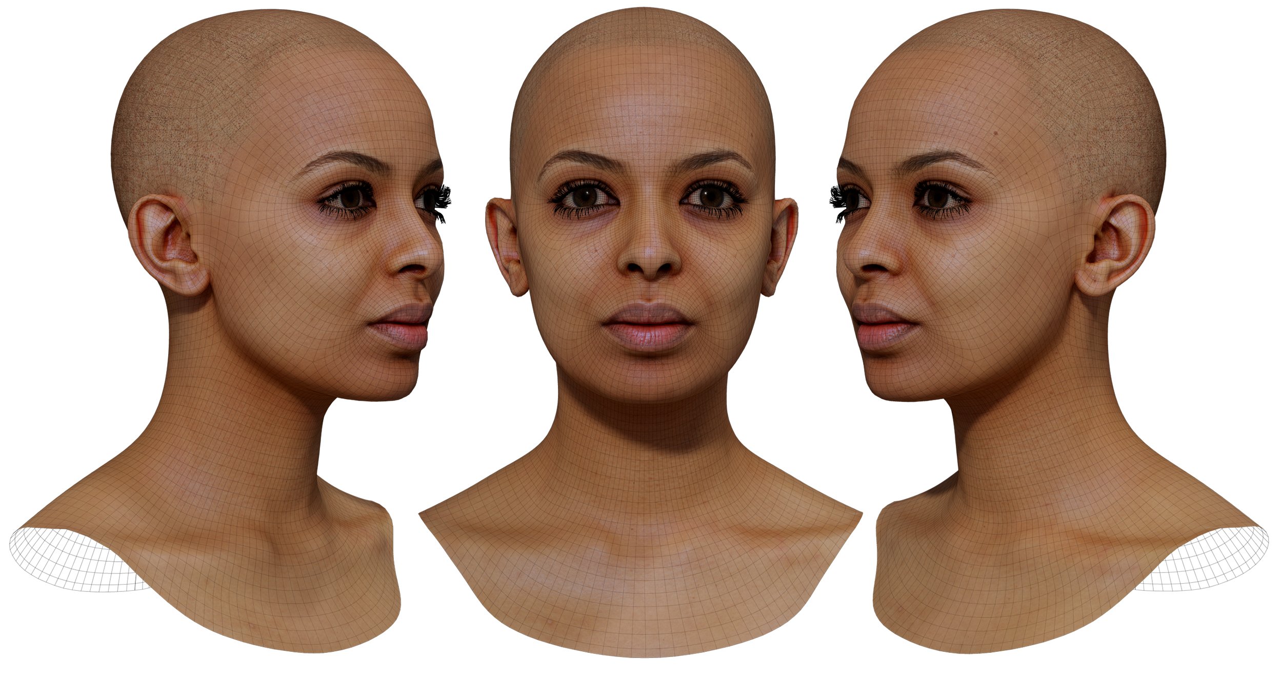 Female Head 3D Scan Download